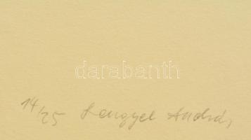 Lengyel András (1952-): Dobozok-Növényi hulladék. Színes akvatinta, papír, jelzett, 37×22 cm