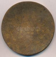 DN "MAGNA HUNGARIA A FR JULIANO INVENT AD MCCXXXVI" egyoldalas öntött Br emlékérem (77mm) ...