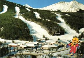 1988 Calgary (Canada), Olympic Winter Games - 7 modern postcards