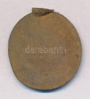 DN "Szab. Kir. Pest Város Tanácsi Pecséte" egyoldalas Br replika T:2- fülnyom