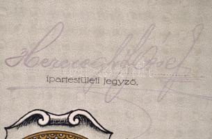 1930 Díszes női szabó segédlevél, Veszprémi Ipartestület által kiállítva, Wolfram János ipartestület...