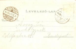 1894 (Vorläufer!!!) Fiume, panorama. Marco Oberdorfer floral Art Nouveau litho