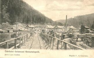 Gelence, Ghelinta; fűrésztelep, iparvasút. János Lajos kiadása / sawmill, industrial railway