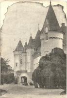 Nagykároly, Carei; Gróf Károlyi kastély. Róth és Komáromy kiadása / castle (EK)