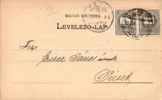 1896 (Vorläufer!!!) A világosi Magyar-Francia Cognac Gyár válaszlapja Eizer János megrendelőnek a sz...