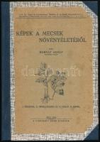 Horvát Adolf: Képek a Mecsek növényéletéből. Pécs, 1942, Ciszterci Rend. Újrakötött félvászon kötés, képekkel illusztrált, jó állapotban.
