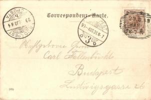 1899 Shärding, Stadtplatz / main square, Franz Feichtinger's shop