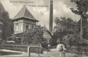 Mezőhegyes Cukorgyár