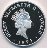 Tuvalu 1994. 20$ Ag "Veszélyeztetett Állatvilág - Kérgesteknős" T:PP felületi karc
Tuvalu...