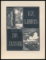 1935 Antonin Dolezal (?-?): Ex libris Szeged. Dr. J. Lustig. Fametszet, papír, jelzett, 12x9 cm