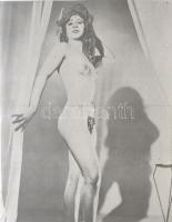 cca 1970 Erotikus és pornográf fotónegatívok, tekercsen