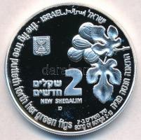 Izrael 1996. 2Sh Ag "Fülemüle" T:PP kis fo.
Israel 1996. 2 Sheqalim Ag "Nightingale&...