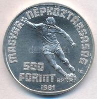 1981. 500Ft Ag "Labdarúgó Világbajnokság 1982" T:BU
Adamo EM65
