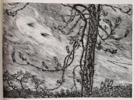 Gy. Szabó Béla: Hónapok.  -- fametszeteit bemutató  kiadvány. Kolozsvár, 1973, Dacia. Kiadói papírkö...