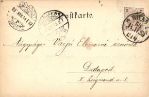 1899 Villach, general view