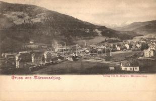 1899 Mürzzuschlag, general view. M. Riegler