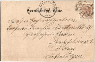 1898 Graz XI. Mariatrost, Elektrische Bahn / electric local railway station. A. Pappermann litho (EK...