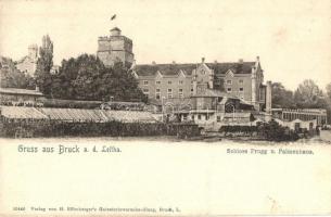 Lajtabruck, Bruck an der Leitha; Schloss Prugg und Palmenhaus. H. Effenberger / Harrach (Prugg) kastély, Pálmaház / castle, palm house