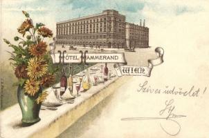 Vienna, Wien VIII. Hotel Hammerand. J. A. Pecht Art Nouveau litho (fa)
