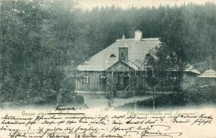 1899 Luczyna officier-building