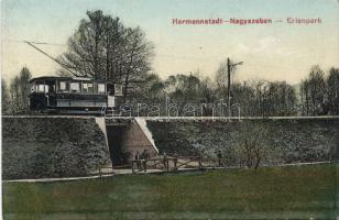 Nagyszeben Erlenpark