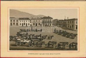 Album of South Africa. 24 views of Cape Town, Kimberley, Port Elizabeth, Grahams Town. Pubd. by Mose...