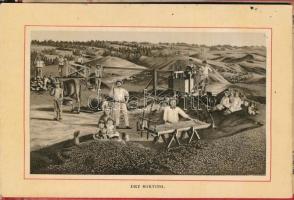 Album of South Africa. 24 views of Cape Town, Kimberley, Port Elizabeth, Grahams Town. Pubd. by Mose...