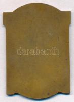 1924. "A Budai Dalárda 60 éves Jubileuma 1924. XII. 7." Br emlékérem (70x45mm) T:2