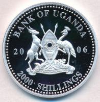 Uganda 2006. 2000Sh Ag "A labdarúgás halhatatlanjainak csarnoka - Dánia 1990-es évek/Michael La...