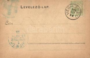 Végles, Véghles, Víglas; Zámok / Frigyes főherceg várkastélya. Dosztalik K. kiadása / castle (EK)