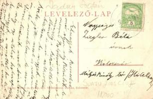 Magyarszovát, Suatu; Deák Ferenc udvarháza. Dunky Fivérek kiadása / manor house, villa (EB)