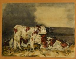 Edvi Illés Aladár (1858-1927): Tehenek, színezett rézkarc, papír, jelzett, üvegezett fa keretben, 38×48 cm