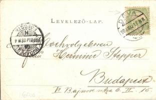 Pankota, Pancota; Dietrich-Sulkowski-kastély. Bloch H. kiadása / castle (EK)