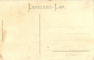 Tusnád-fürdő, Baile Tusnad; Gyógyterem. Brunner Lajos kiadása, galambos művészlap / spa hall. dove a...