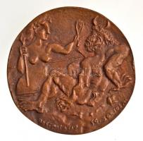 Borsos Miklós (1906-1990) 1955. "Hommage á Picasso" Br emlékplakett (85mm) T:1-