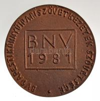 Borsos Miklós (1906-1990) 1981. "Pro Artes / Budapesti Könnyűipari Szövetkezetek Szövetsége BNV...