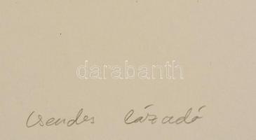 Olvashatatlan jelzéssel: Csendes lázadó, szerigráfia, papír, jelzett, számozott (1/6), 50×35 cm