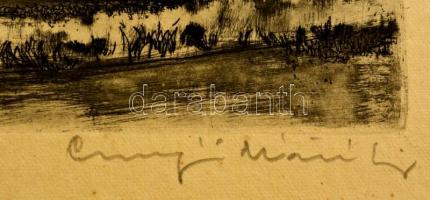 Csurgói Máté Lajos (1931-2001): Margitsziget, rézkarc, papír, jelzett, 19,5×30,5 cm