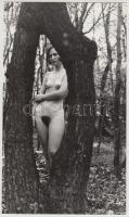 cca 1972 Szabad a vásár, 4 db szolidan erotikus, vintage fotó, jelzés nélkül, 24x14 cm és 22x18 cm között