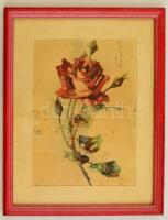 Sidó Géza (?-?): Rózsaszál. Akvarell, papír, üvegezett keretben, foltos, 24×29 cm