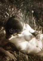 cca 1930 Aktfotók a lakásban és a természetben, 24 db szolidan erotikus, vintage negatív Fekete Györ...