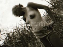 cca 1930 Aktfotók a lakásban és a természetben, 24 db szolidan erotikus, vintage negatív Fekete Györ...