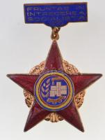 Románia ~1970. Fruntas in Intrecerea Socialista aranyozott, zománcozott kitüntetés T:1-,2 Romania ~1970. Fruntas in Intrecerea Socialista gilt, enamelled decoration C:AU,XF