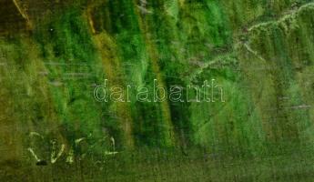 Ruttka Ferenc (1926- ): Magányos fa. Olaj, farost, jelzett, keretben, 50×40 cm