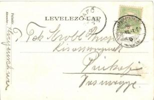 Herkulesfürdő, Baile Herculane; Erzsébet villa / Villa Elisabeth (kis szakadás / small tear)