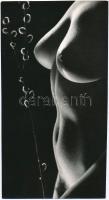cca 1968 Balogh Ferencz: Tavasz, feliratozott, vintage fotóművészeti alkotás, 24x13 cm