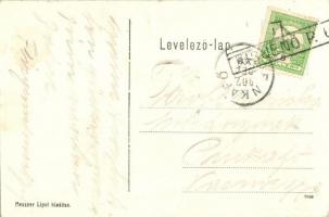 Kisjenő, Chisineu-Cris; A Fehér-Körös hídja. Messzer Lipót kiadása / Cris river bridge (fa)