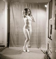 cca 1973 Aktmodellre fókuszálva, szolidan erotikus felvételek, 13 db vintage negatív, 6x6 cm