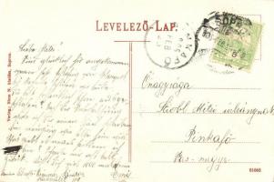 Sopron, Liszt Ferenc szobor, Színház. Blum N. kiadása (EK)