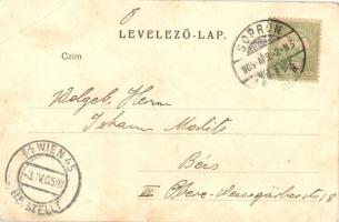 Sopron, Városháza és várostorony. Blum N. kiadása (EB)